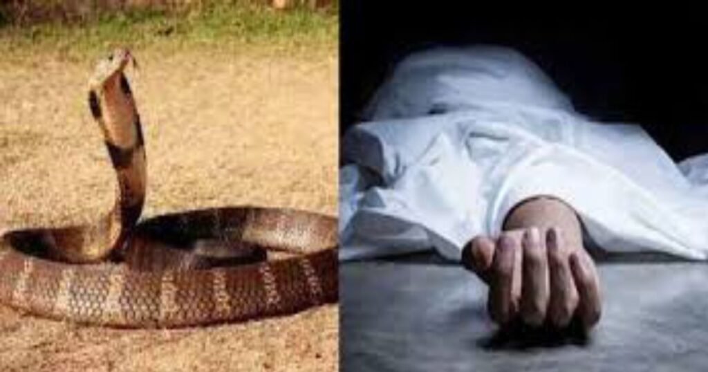 विषैले सांप के काटने से 60 वर्षीय वृद्ध की मौत, झाड़-फूंक के लिए परिजन ले गए शव