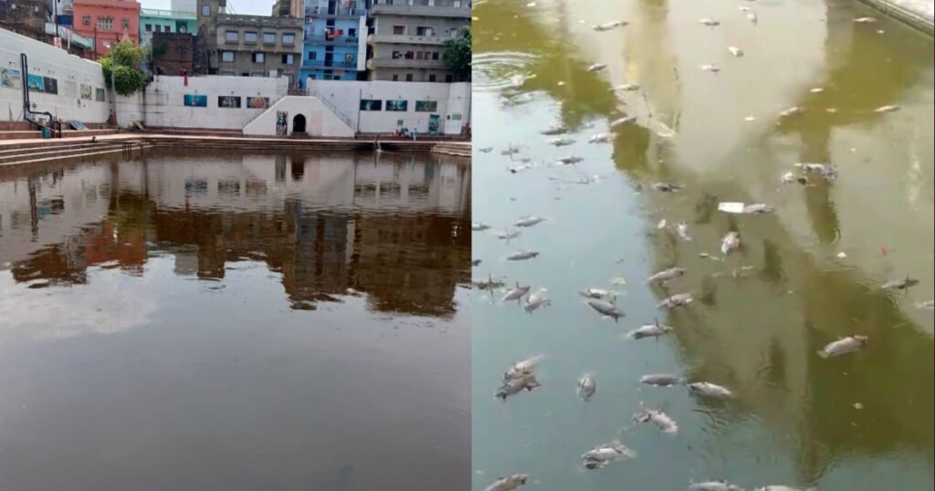 20250616 1742005704597508612173243 गया के पवित्र सूर्यकुंड में मछलियों पर मंडराया संकट: गर्मी और पानी की कमी से मौत का सिलसिला जारी,  तीर्थ सुधारनी सभा ने की तत्काल कार्रवाई की मांग